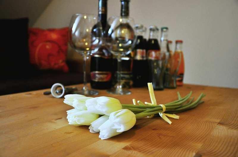Penzion Rosenau Rožňava Εξωτερικό φωτογραφία